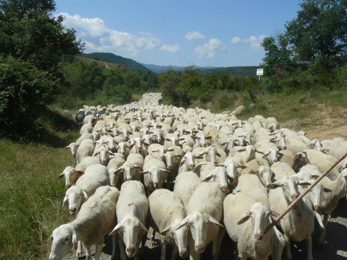 Biniés Casa Campo, Casa Rural Entre Jaca Y Anso מראה חיצוני תמונה