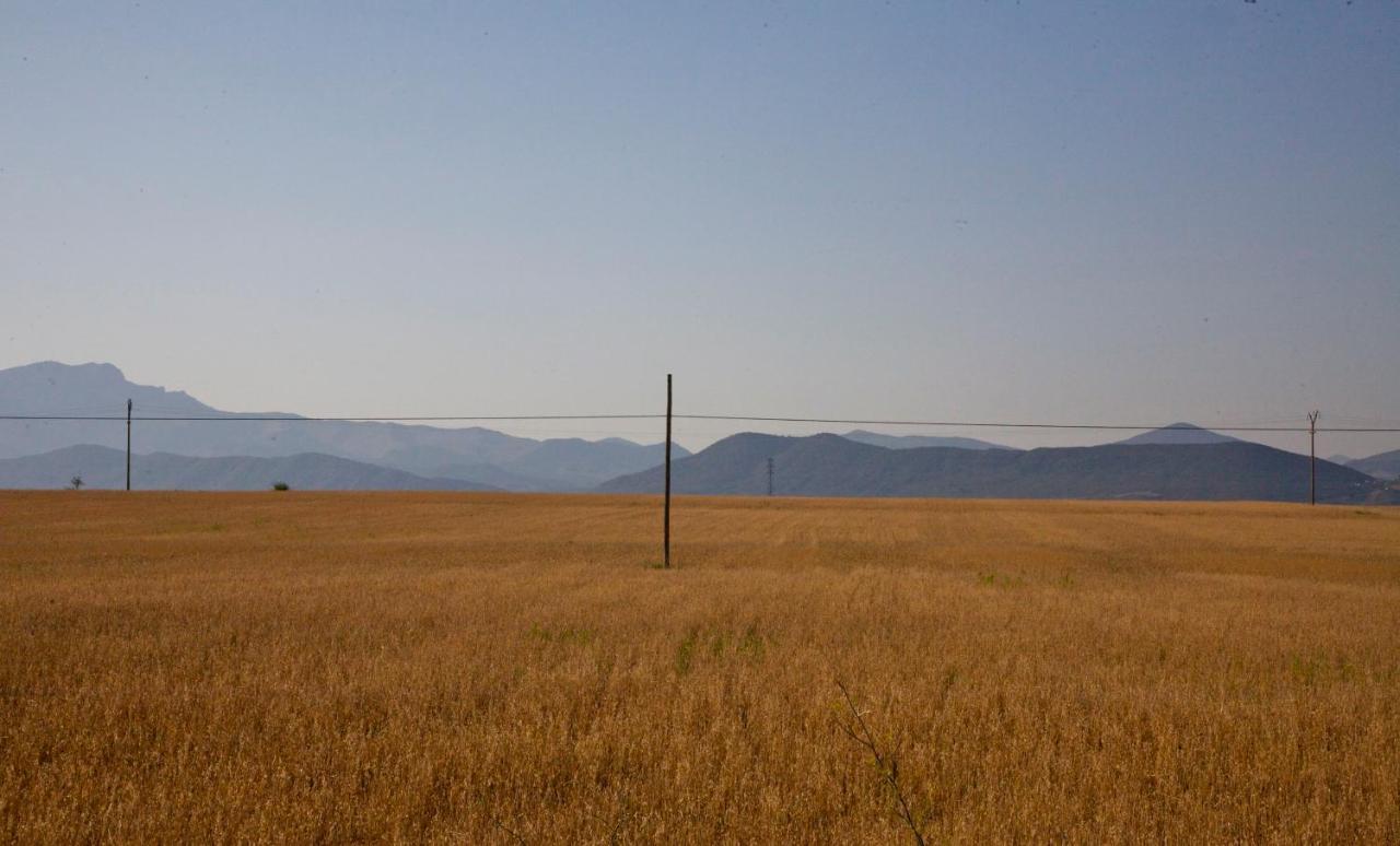 Biniés Casa Campo, Casa Rural Entre Jaca Y Anso מראה חיצוני תמונה